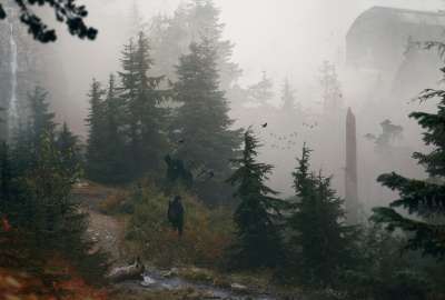 Foggy Wilderness