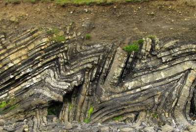 Folded Sedimentary Rks of Carbonferous Age at Loughshinny Ireland