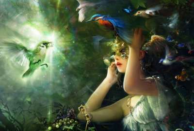 Forest Fairy and a Hummingbird