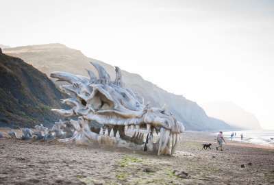 Game Of Thrones Dragon Skull On Beach