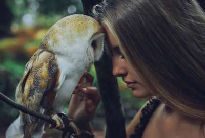 Girl and Owl