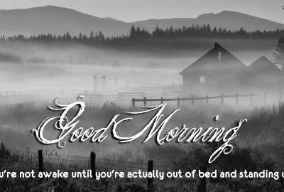 Good Morning Quotes Hd