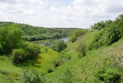 Green Landscape View