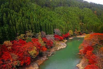 Green Red River Landscape