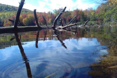Halfmoon Pond Near Mexico Maine