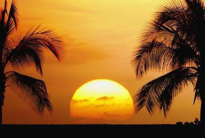 Hawaii Palm Trees Sun Set