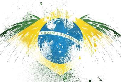 Hawk On Brazilian Flag