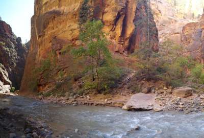 Hikied the Narrows at Zion National Park