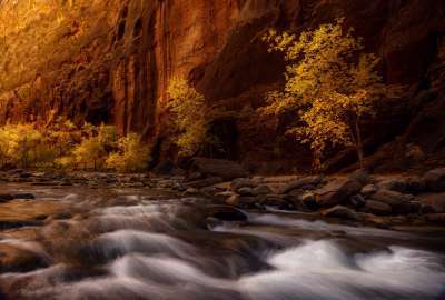 Hiking in the Zion River Narrows in Fall