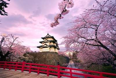 Hirosaki Castle Japan 16192