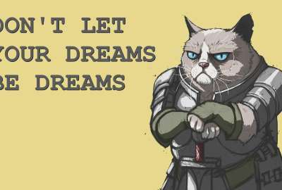 Inspirational Grumpy Cat Knight