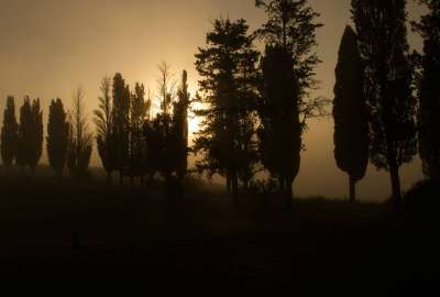 Sun Hitting the Fog in Tuscany Italy