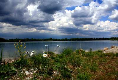 Lake With Rain Clouds and Flowers