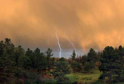 Lightning Over Forest