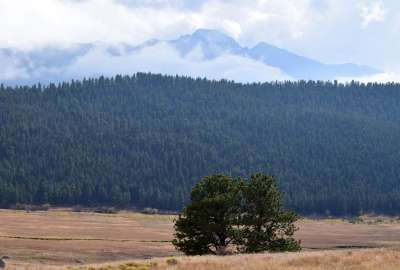Longs Peak Seen Above Moraine Park in RMNP Colorado