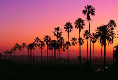 Los Angeles Sunset With Palm Trees