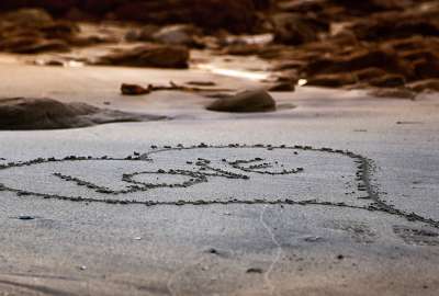 Love Written On Beach