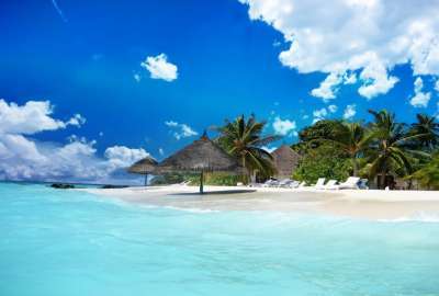 Maldives Sand Tropical Beach Palm Trees