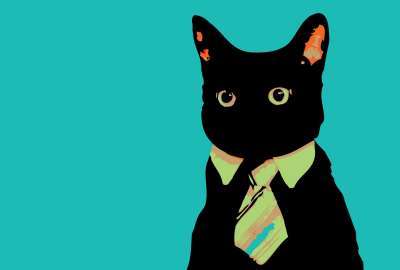 Minimalistic Business Cat