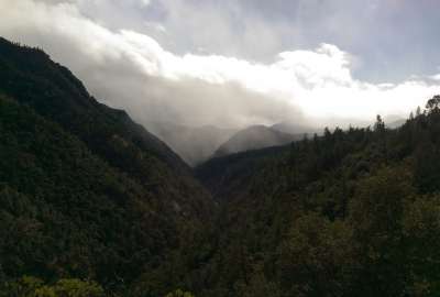 Morning Mist California State Hwy Shasta-Trinity National Forest