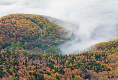Mountain Forest Covered With Fog