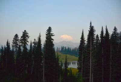 Mt. Rainier in August