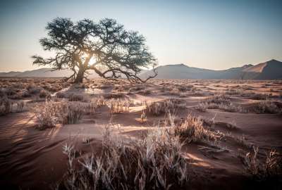 Namibia Africa Desert Sunrise