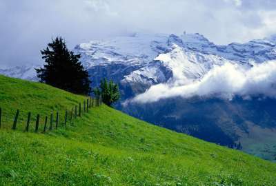 Nature Of Switzerland