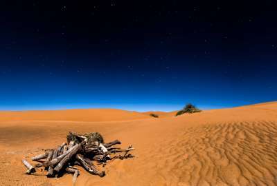 Night in the Sahara Desert