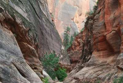 On the Trail to Observation Point in Zion Natl. Park Utah