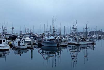 Pillar Point Harbor - Crab and Salmon Boats