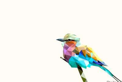 Polyart Rainbow Bird