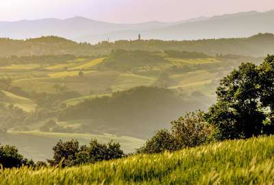 Pomerance Tuscany in the Late Afternoon