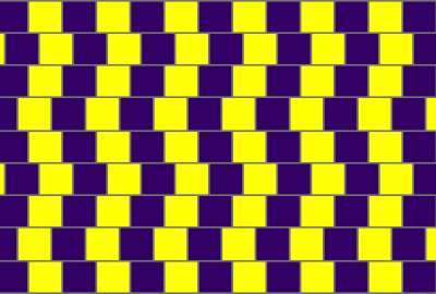 Purple and Yellow Lines