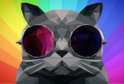 Rainbow Poly Cat