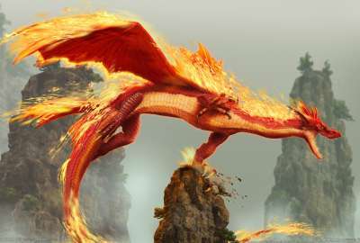 Red Fire Dragon 2881