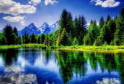 Reflections Nature Tranquil Beautiful Trees