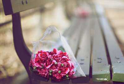 Roses on Bench