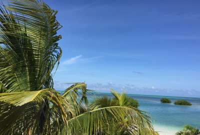 Royal Palm Island Belize
