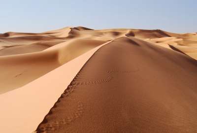 Sand Dune in the Desert