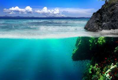 Sea Coast Rocks Underwater World Vegetation Fish