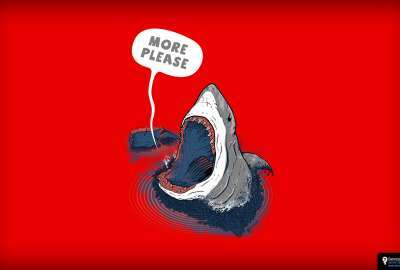 Shark Iphone