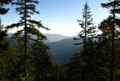 Siskiyou National Forest Oregon
