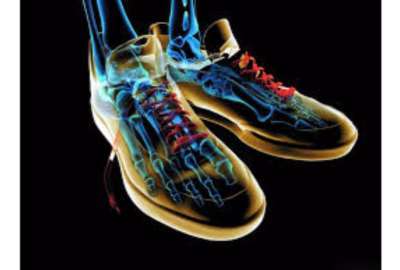 Skeleton Sneakers 3D S