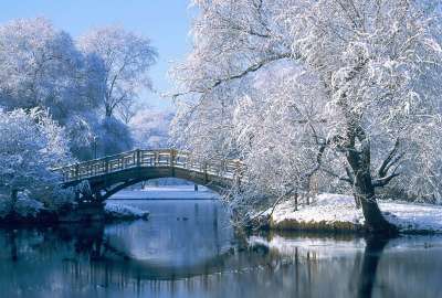 Small Bridge in Winter