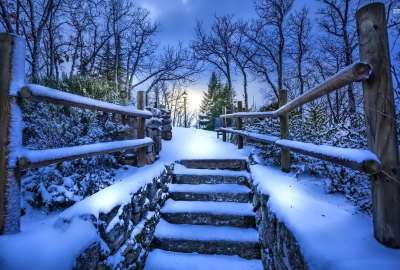 Snowy Stairway