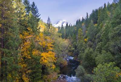 Some Fall Color Along the Upper Sacramento River With Mt. Shasta in the Distance Northern California
