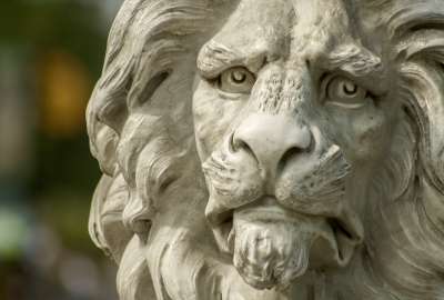 Statue of Lion for PC