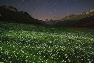 Summer Night Falls Over an Alpine Meadow