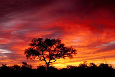 Sun Set in South Africa